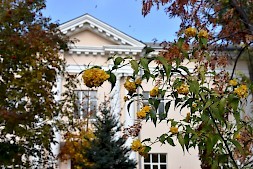 Новость