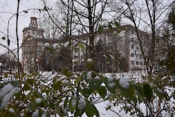 Новость